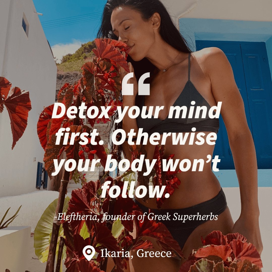 Detox Tea | Organic Whole Leaf Greek Herbal Blend with Nettle, Dandelion Root & Hibiscus for Body Cleanse & Liver Support — Caffeine-Free