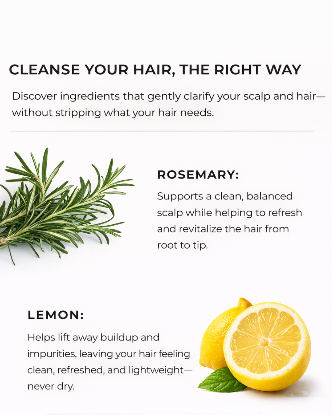 Lemon & Rosemary Clarifying Shampoo | Deep Cleanse & Scalp Reset
