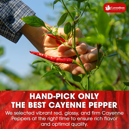 Premium Cayenne Pepper Powder– Pure Ground Red Pepper, Bold and Spicy Flavor