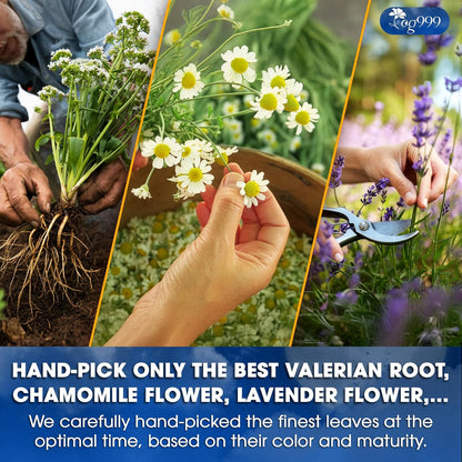 Premium Valerian Tea, Made From Valerian Root, Chamomile flower, Lavender flower Loose Leaf Herbal Tea. Made with Natural Material Tea Bags. No Sugar, No Caffeine, No Gluten, Vegan.