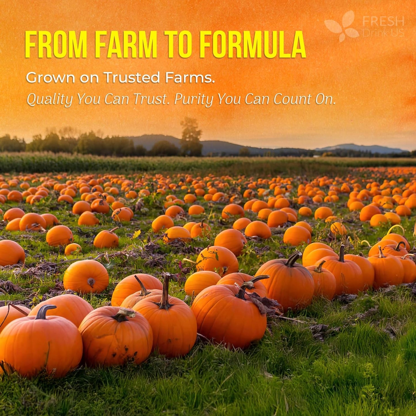 Premium Pumpkin Seed Oil Softgels with Saw Palmetto, 3000mg Per Serving, Cold Pressed, Pure Virgin Oil, Great Hair Support, Non-GMO, Gluten-Free, Vegan
