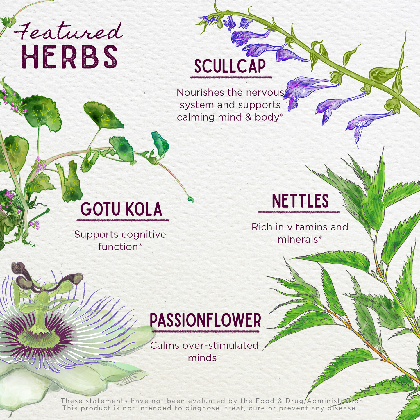 Attention Ally, Focus Friend for Kids | Herbal Focus Formula