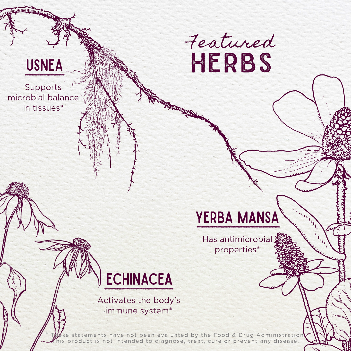 Candida Rescue, Microbiome Stabilizer | Herbal Yeast & Microbiome Balance
