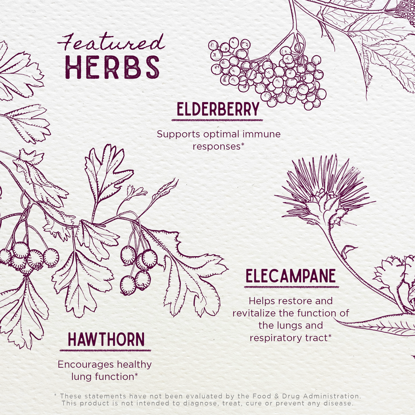 Serious AM Cough, Soothing Syrup | Non-Drowsy Herbal Cough Relief