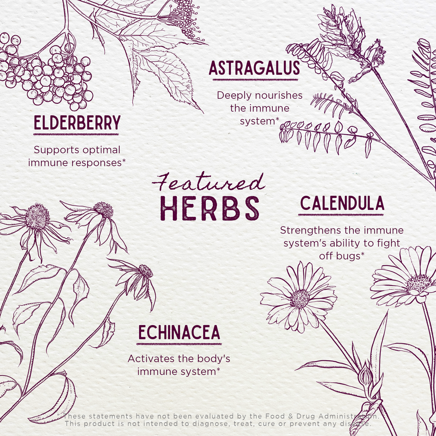 Daily Immune, Builder For Kids | Herbal Daily Immune Support