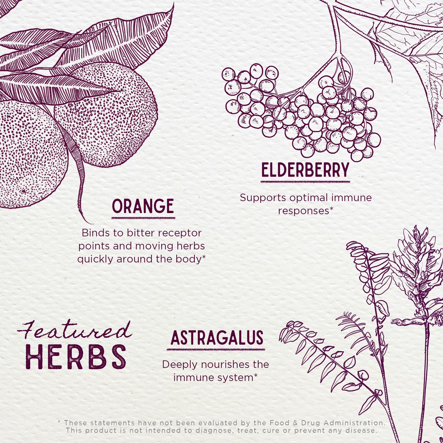 Elderberry Syrup, Everyday Immunity for Kids | WishGarden