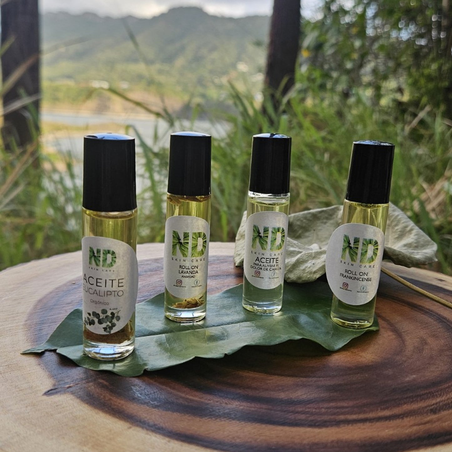 Wellness Ritual Kit – Botanical Aromatherapy Roll-Ons (4-Piece Set)