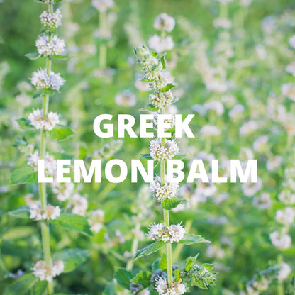 Calm Tea | Organic Whole Leaf Greek Herbal Blend with Lavender, Chamomile & Lemon Balm for Stress Relief & Relaxation — Caffeine-Free, Physician-Studied