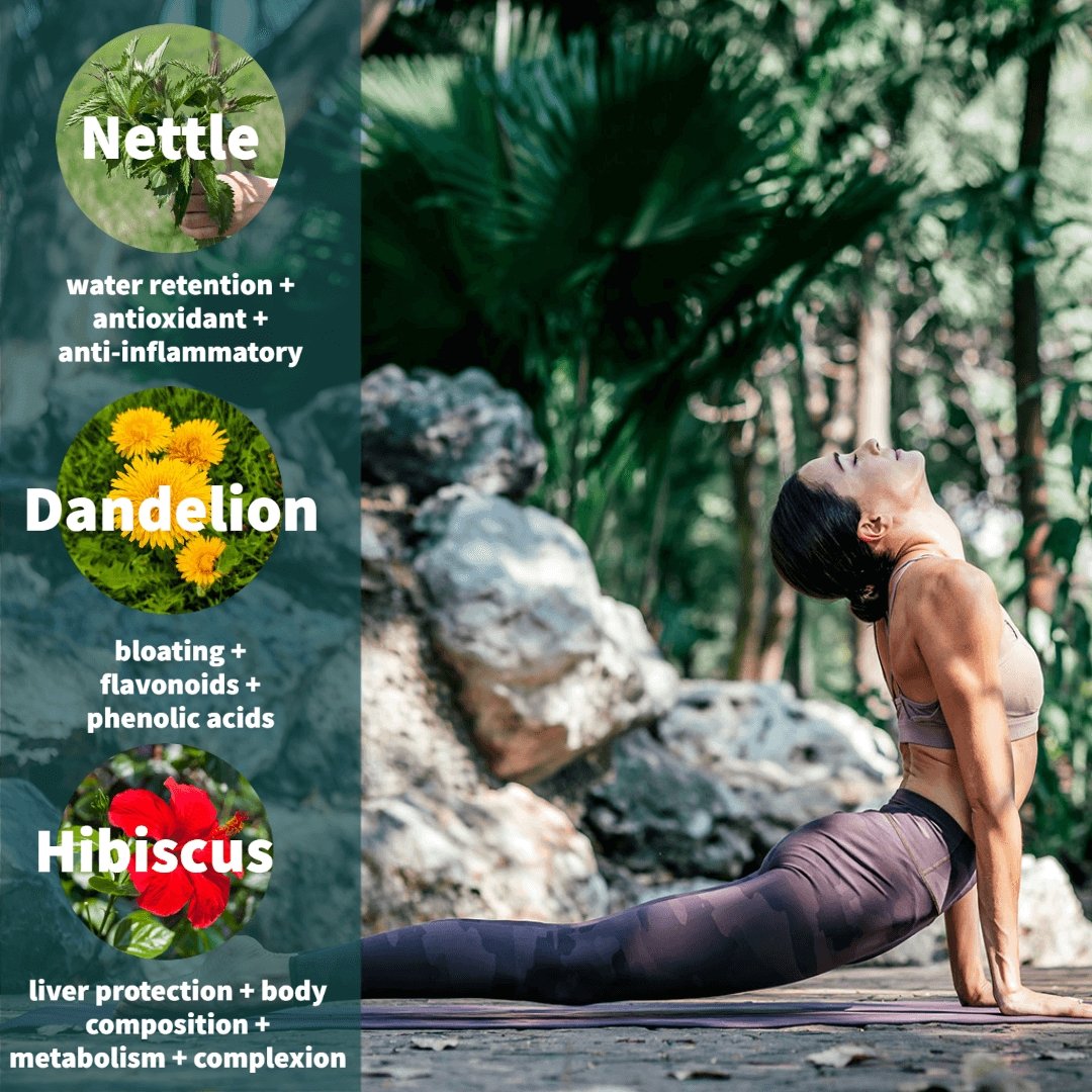 Detox Tea | Organic Whole Leaf Greek Herbal Blend with Nettle, Dandelion Root & Hibiscus for Body Cleanse & Liver Support — Caffeine-Free
