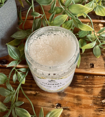 Gardenia Sugar Scrub | Natural Exfoliating Body Scrub for Smooth, Glowing & Rejuvenated Skin