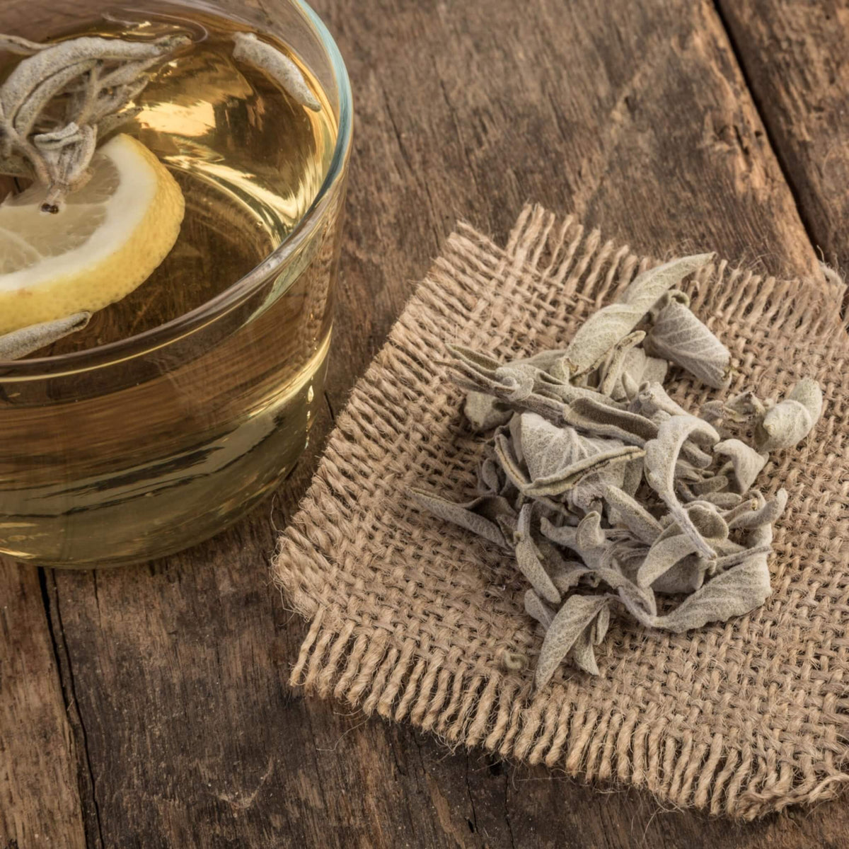Greek Sage Tea | Organic Salvia Fruticosa from Ikaria Blue Zone Greece — Caffeine-Free, Physician-Studied Longevity Herb