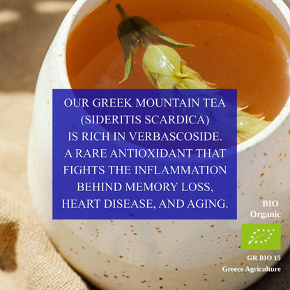 Mountain Tea | Organic Wild-Crafted Greek Sideritis from Mount Olympus — Highest Polyphenol Herbal Tea, Caffeine-Free & Physician-Studied