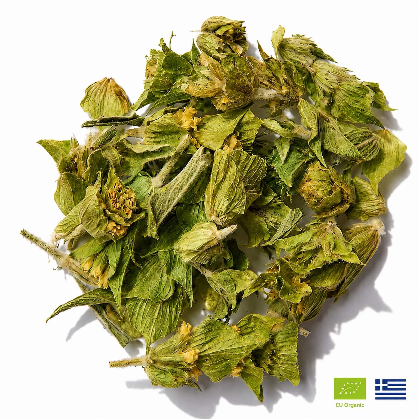 Mountain Tea | Organic Wild-Crafted Greek Sideritis from Mount Olympus — Highest Polyphenol Herbal Tea, Caffeine-Free & Physician-Studied