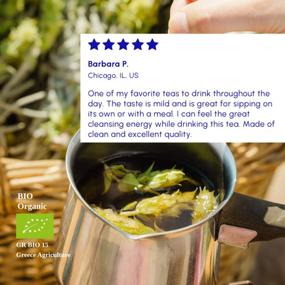Mountain Tea | Organic Wild-Crafted Greek Sideritis from Mount Olympus — Highest Polyphenol Herbal Tea, Caffeine-Free & Physician-Studied