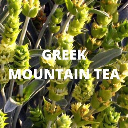 Santorini Tea | Organic Whole Leaf Greek Mountain Tea with Lavender & Chamomile — Caffeine-Free, Physician-Studied