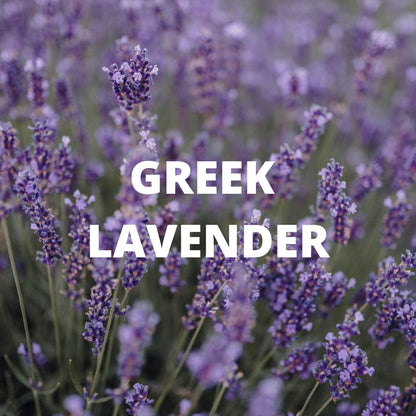 Sleep Tea | Organic Whole Leaf Greek Herbal Blend with Valerian Root, Chamomile & Passionflower for Deep, Restful Sleep — Caffeine-Free