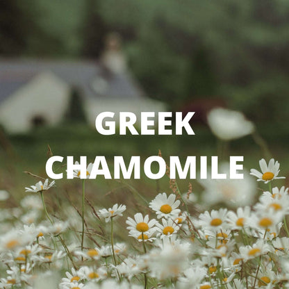 Sleep Tea | Organic Whole Leaf Greek Herbal Blend with Valerian Root, Chamomile & Passionflower for Deep, Restful Sleep — Caffeine-Free
