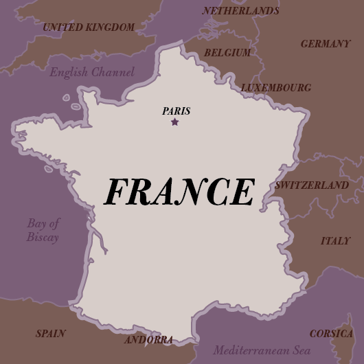 French Grey Sea Salt, Celtic Sel Gris, Fine or Coarse Grain